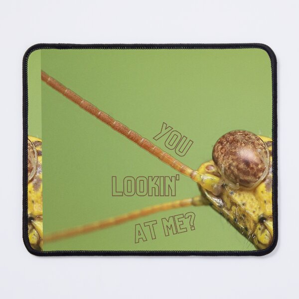 Item preview, You Lookin At Me? designed and sold by incaseucall.