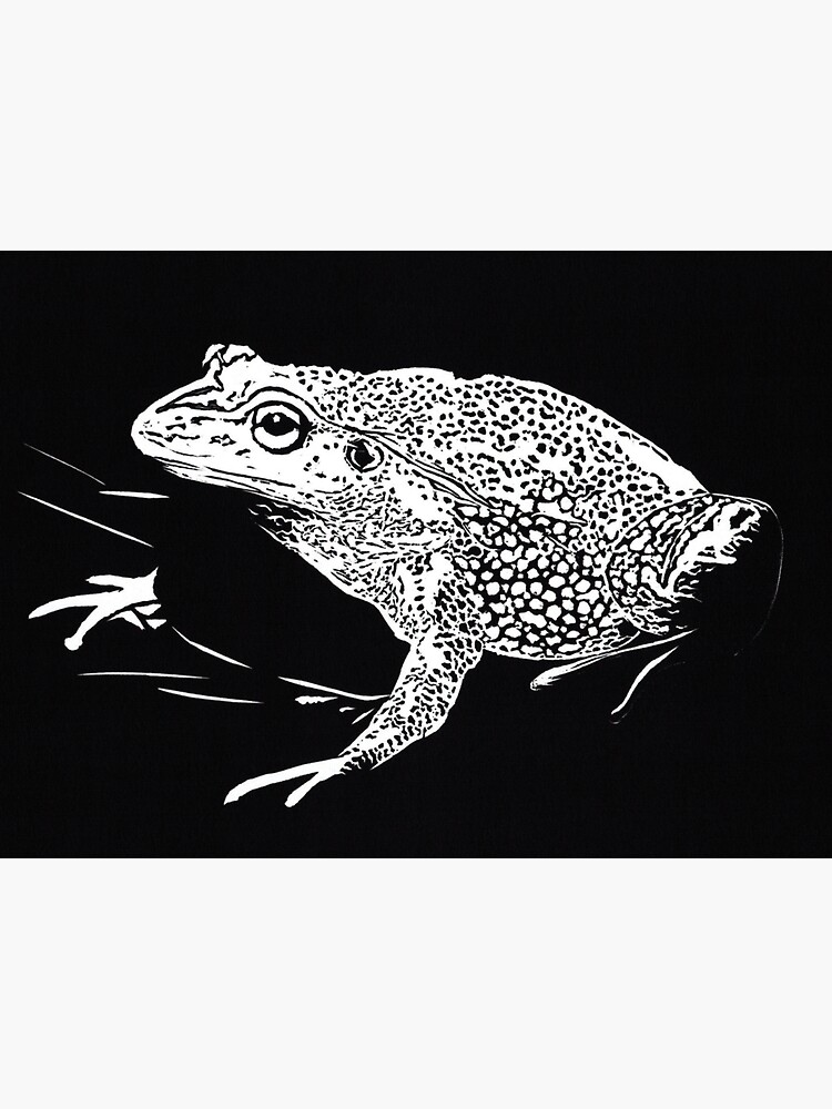 "Frog Lino Print" Sticker for Sale by DriftingPhoto Redbubble