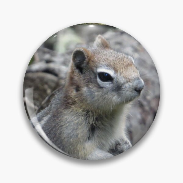 Item preview, A Very Cheeky Chipmunk designed and sold by Honey Myrtle Studio.