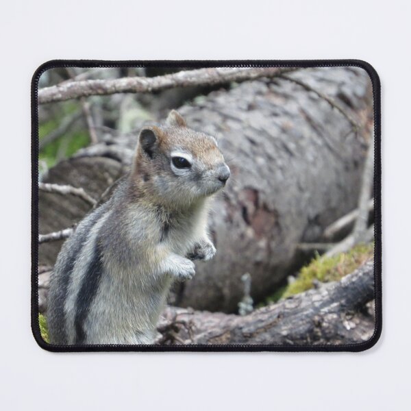 Item preview, A Very Cheeky Chipmunk designed and sold by Honey Myrtle Studio.