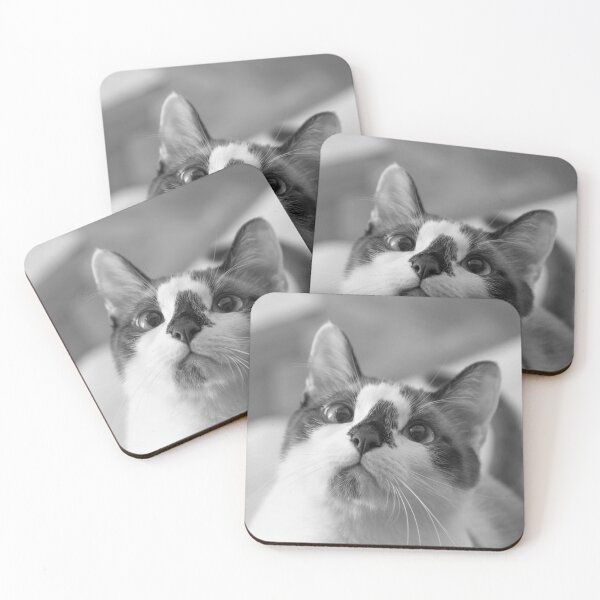 Item preview, Incredibly Cute Snowshoe Cat BW designed and sold by Elisabeth Lucas.