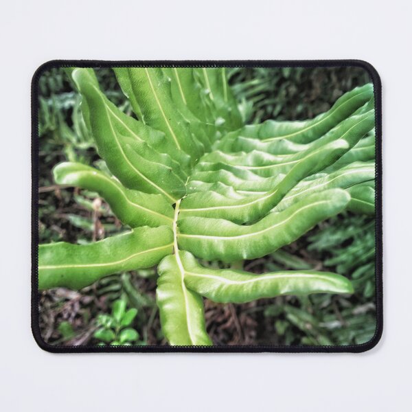 Item preview, The Come Hither Palm designed and sold by kinkatstyle.