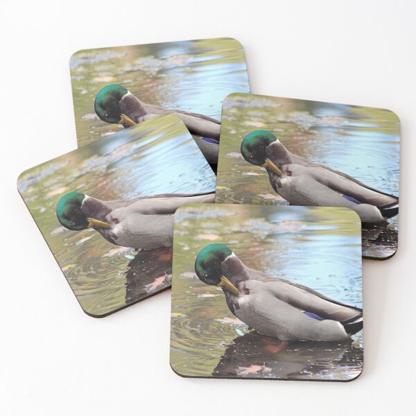 Item preview, PREENING DUCK designed and sold by BOLLA67.