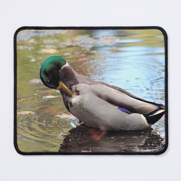 Item preview, PREENING DUCK designed and sold by BOLLA67.