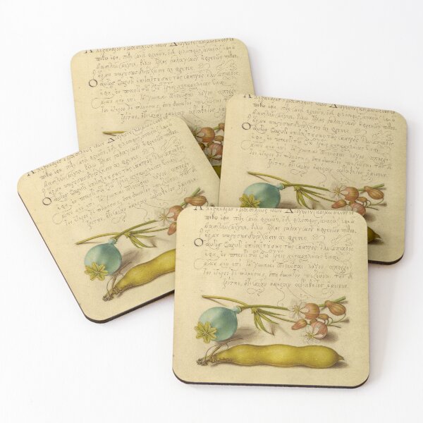 Item preview, Naturalist Manuscript Flowers and Calligraphy Illumination by Joris Hoefnagel  designed and sold by Naturalist Prints.