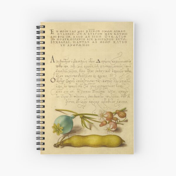 Item preview, Naturalist Manuscript Flowers and Calligraphy Illumination by Joris Hoefnagel  designed and sold by Naturalist Prints.