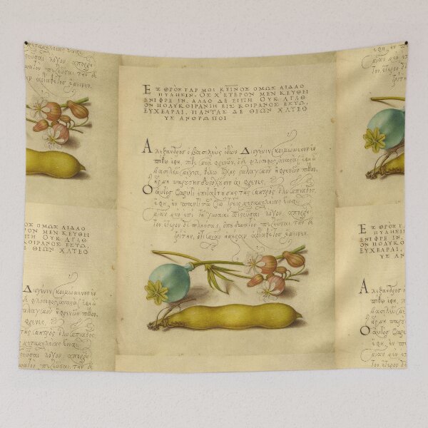 Item preview, Naturalist Manuscript Flowers and Calligraphy Illumination by Joris Hoefnagel  designed and sold by Naturalist Prints.