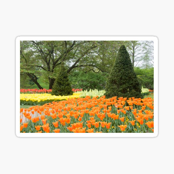 Glorious Spring Longwood Sticker