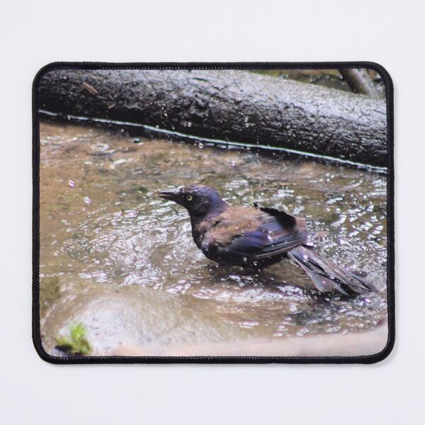 Item preview, WASHING UP designed and sold by BOLLA67.
