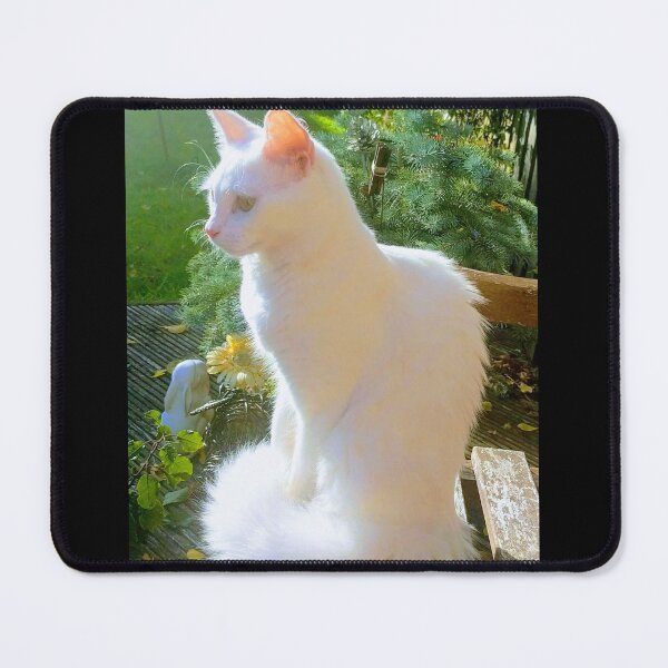 Item preview, Nanook the Norwegian forest queen cat designed and sold by Fluffycat2020.