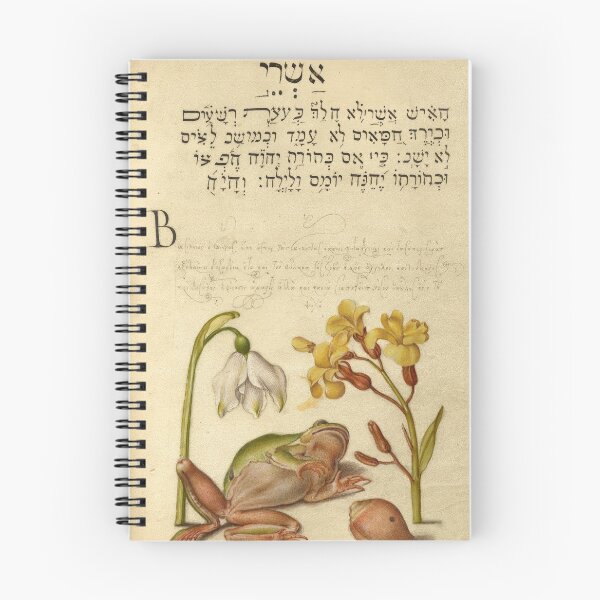 Item preview, Naturalist Manuscript: Flowers, Frog, and Calligraphy Illumination by Joris Hoefnagel designed and sold by Naturalist Prints.