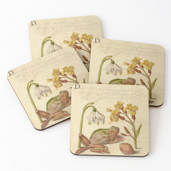 Item preview, Naturalist Manuscript: Flowers, Frog, and Calligraphy Illumination by Joris Hoefnagel designed and sold by Naturalist Prints.