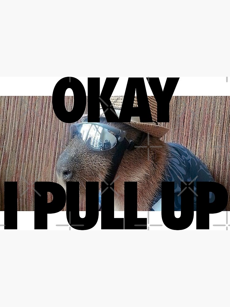 okay-i-pull-up-capybara-meme-photographic-print-for-sale-by