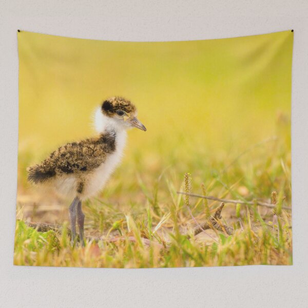 Item preview, Cotton Wool On Legs designed and sold by CBoyle.