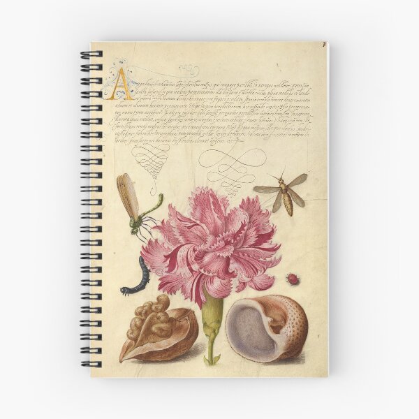 Item preview, Manuscrito naturalista Flores, insectos e iluminación de caligrafía de Joris Hoefnagel designed and sold by Naturalist Prints.