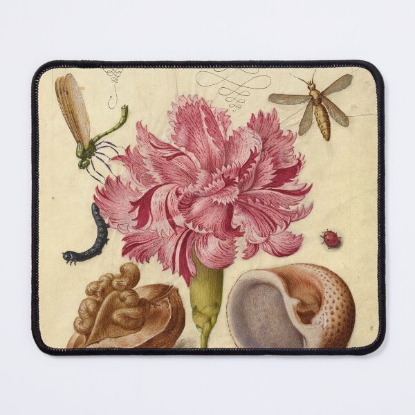 Item preview, Naturalist Manuscript Flowers, Insects, and Calligraphy Illumination by Joris Hoefnagel designed and sold by Naturalist Prints.