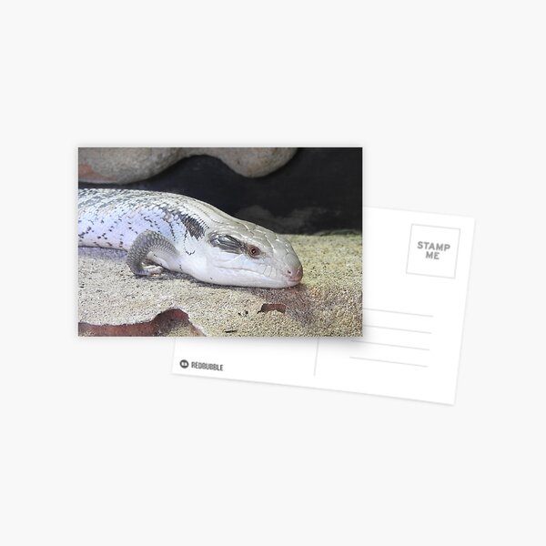 Item preview, Blue Tongue designed and sold by kirstybush.