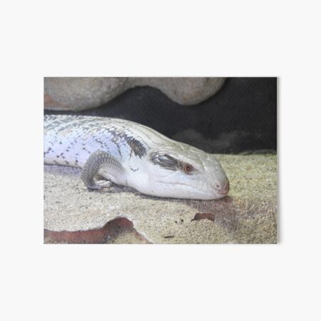Blue Tongue Art Board Print
