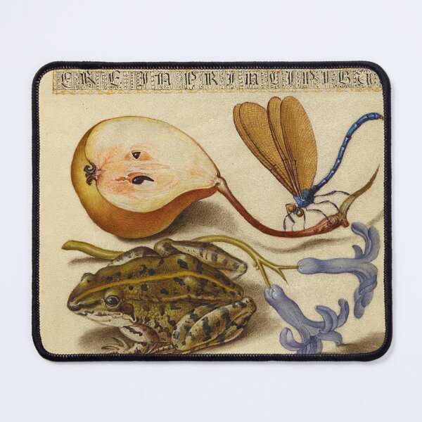 Item preview, Naturalist Manuscript: Fruit, Frog, and Calligraphy Illumination by Joris Hoefnagel designed and sold by Naturalist Prints.