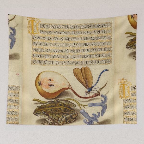Item preview, Naturalist Manuscript: Fruit, Frog, and Calligraphy Illumination by Joris Hoefnagel designed and sold by Naturalist Prints.