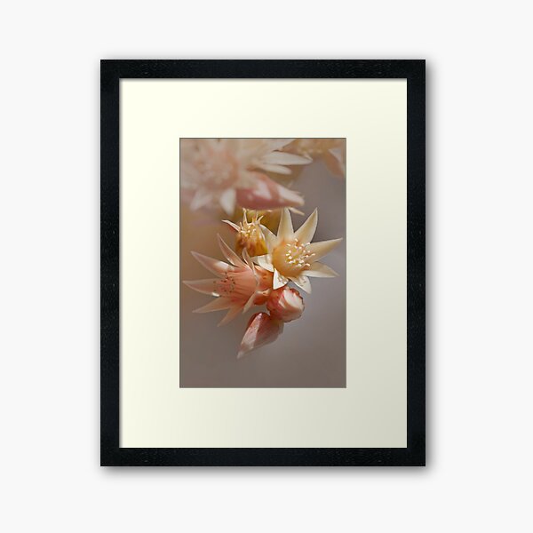 Item preview, Blossoming Succulent designed and sold by BroomstickChick Magic by Dani Musicka.