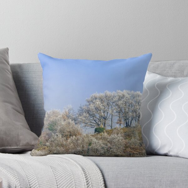 Item preview, Church and frozen trees in little french village, Andlau, France designed and sold by Alexander Sorokopud.