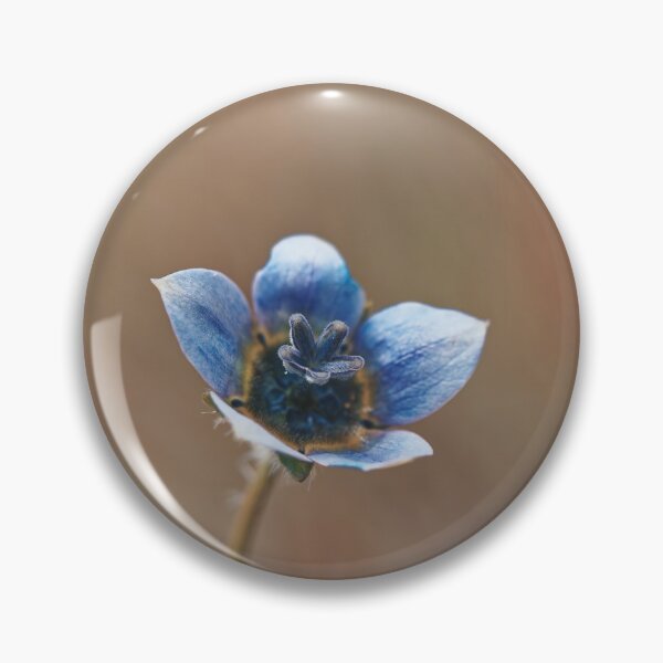 Item preview, Australian Cape bluebell wild flower  designed and sold by hendrikspix.