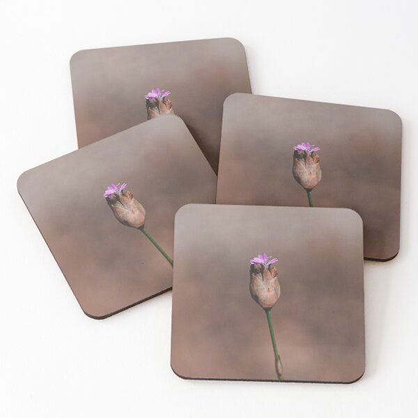 Item preview, Pink Australian unknown wild flower  designed and sold by hendrikspix.