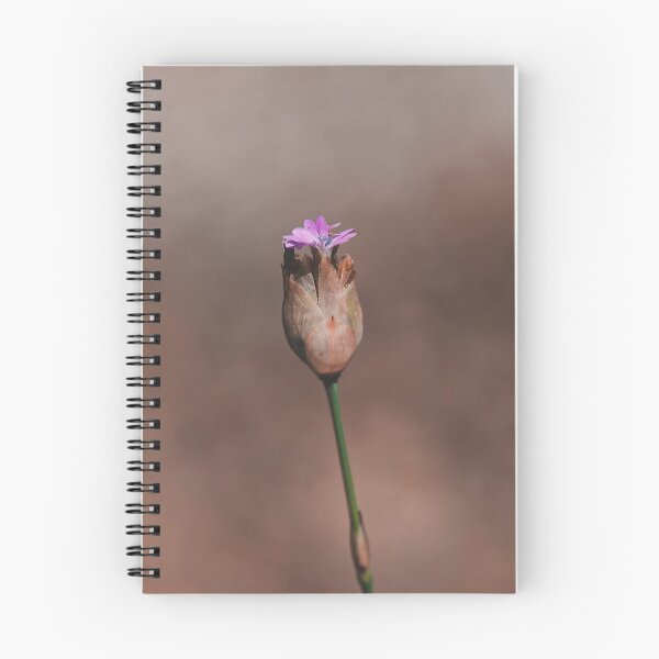Item preview, Pink Australian unknown wild flower  designed and sold by hendrikspix.