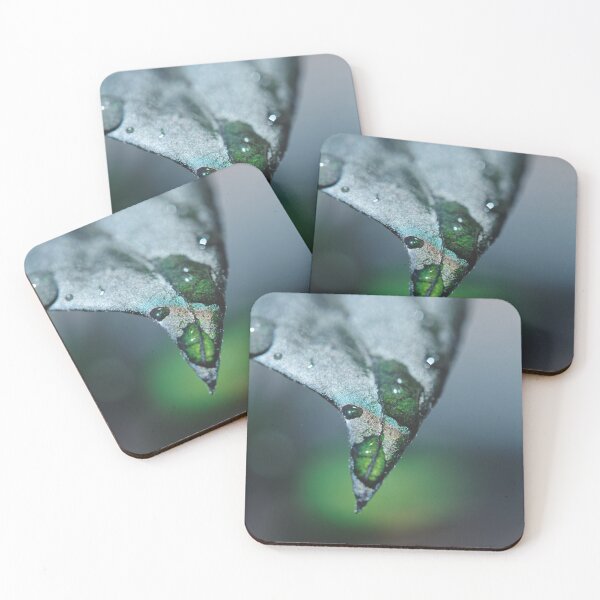 Item preview, Water droplets on green leaf macro photo designed and sold by hendrikspix.