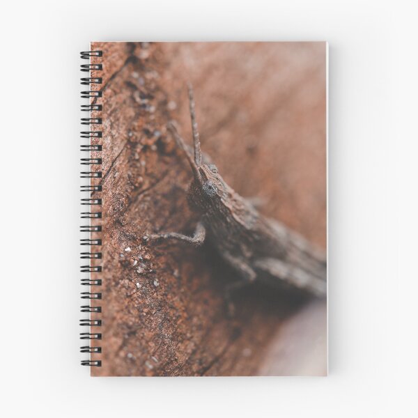 Item preview, Brown Australian grasshopper macro photo designed and sold by hendrikspix.