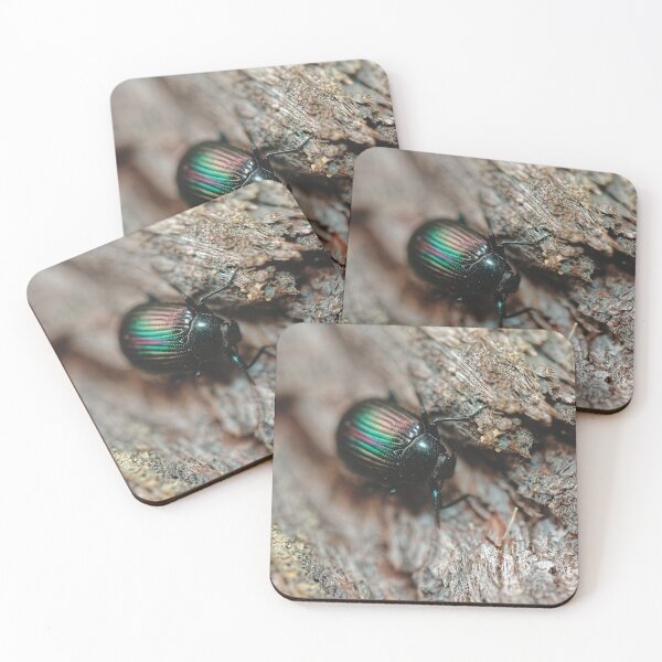 Item preview, Australian purple wood beetle on tree bark macro photo designed and sold by hendrikspix.