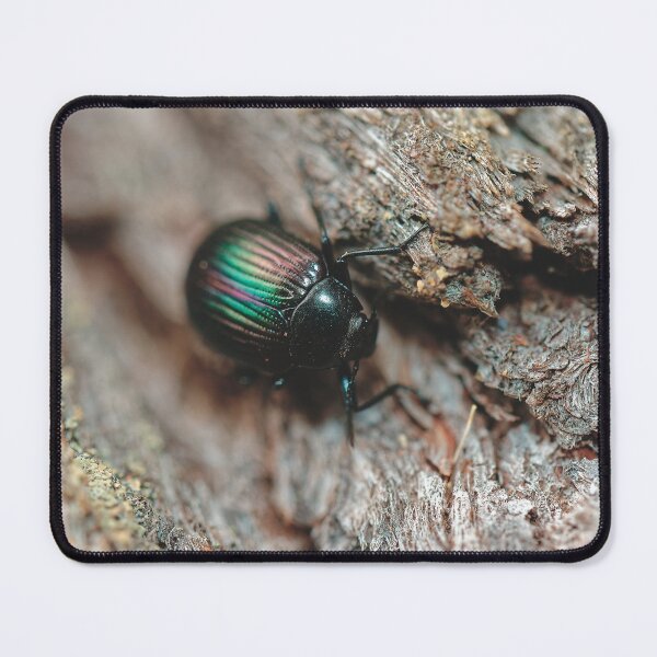 Item preview, Australian purple wood beetle on tree bark macro photo designed and sold by hendrikspix.