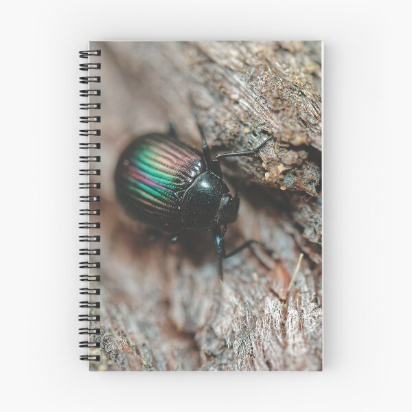 Item preview, Australian purple wood beetle on tree bark macro photo designed and sold by hendrikspix.