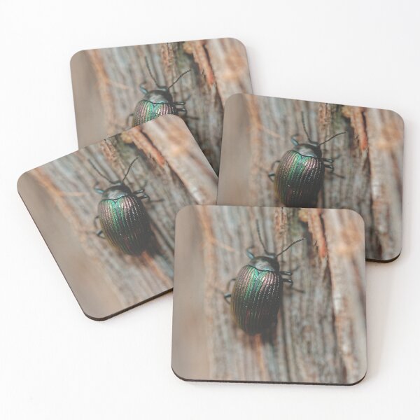 Item preview, Australian purple wood beetle on tree bark macro photo designed and sold by hendrikspix.