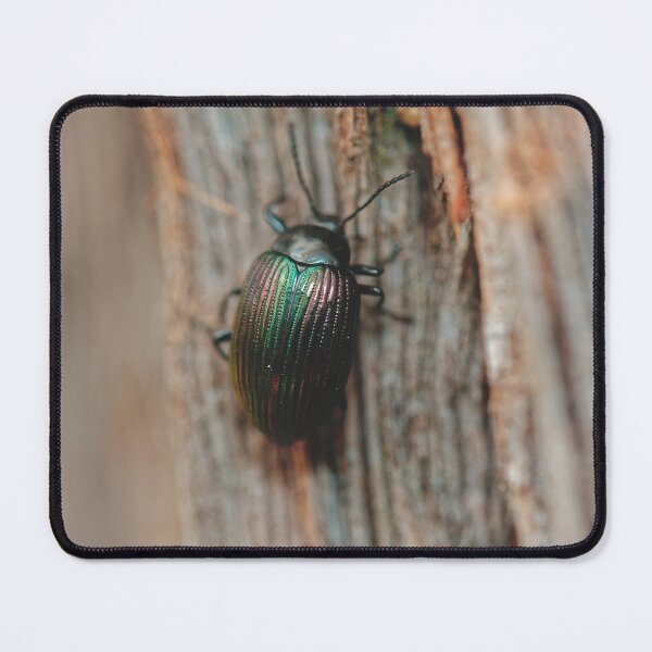 Item preview, Australian purple wood beetle on tree bark macro photo designed and sold by hendrikspix.