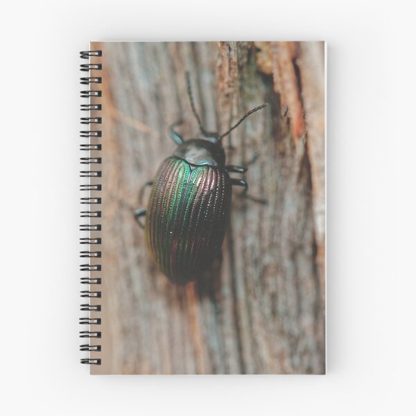 Item preview, Australian purple wood beetle on tree bark macro photo designed and sold by hendrikspix.