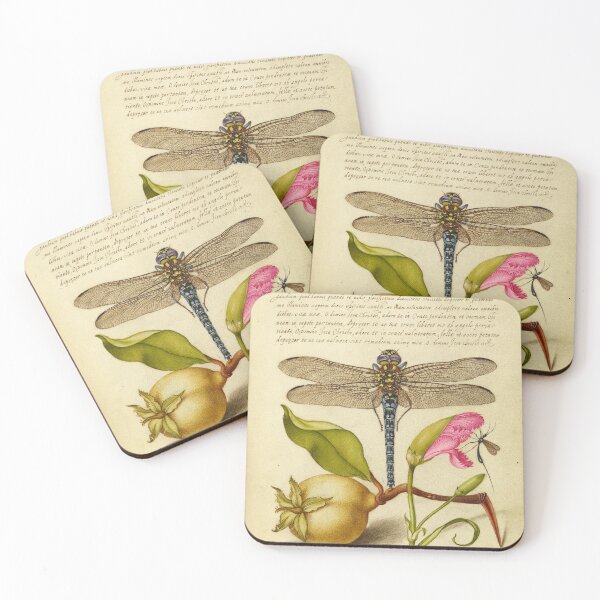 Item preview, Naturalist Manuscript Fruit, Insects, and Calligraphy Illumination by Joris Hoefnagel  designed and sold by Naturalist Prints.