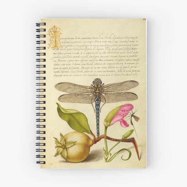Item preview, Naturalist Manuscript Fruit, Insects, and Calligraphy Illumination by Joris Hoefnagel  designed and sold by Naturalist Prints.