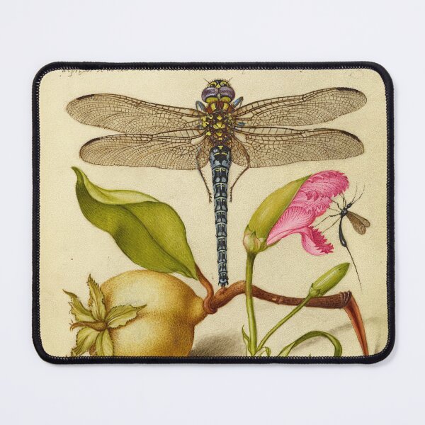 Item preview, Naturalist Manuscript Fruit, Insects, and Calligraphy Illumination by Joris Hoefnagel designed and sold by Naturalist Prints.