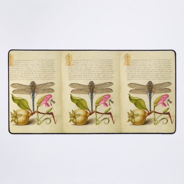 Item preview, Naturalist Manuscript Fruit, Insects, and Calligraphy Illumination by Joris Hoefnagel designed and sold by Naturalist Prints.
