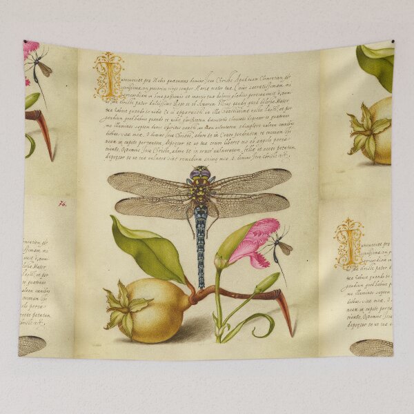 Item preview, Naturalist Manuscript Fruit, Insects, and Calligraphy Illumination by Joris Hoefnagel  designed and sold by Naturalist Prints.