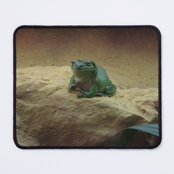 Item preview, Australian Green Tree Frog (Litoria caerulea) designed and sold by lezvee.