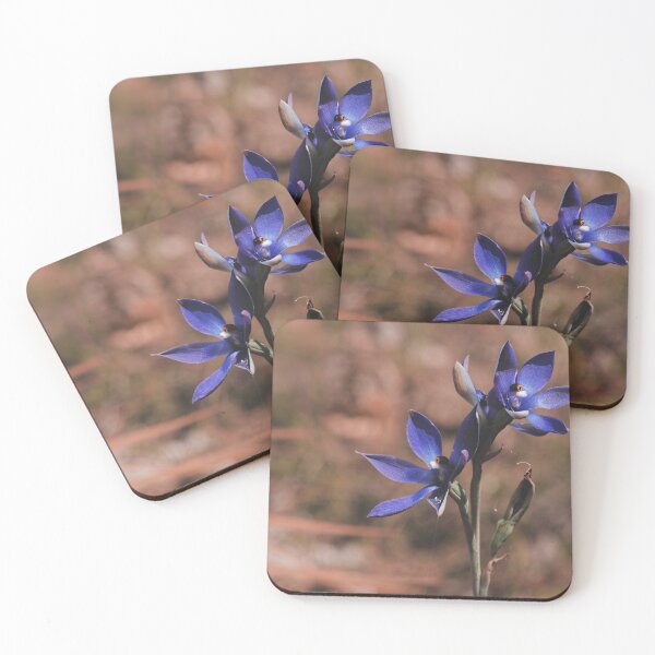 Item preview, Australian Thelymitra Blue lady orchids flowers macro photo designed and sold by hendrikspix.