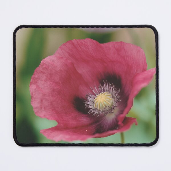 Item preview, Poppy flower macro photo designed and sold by hendrikspix.