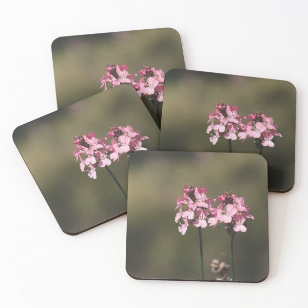Item preview, Australian Stylidium Triggerplant flower macro photo designed and sold by hendrikspix.