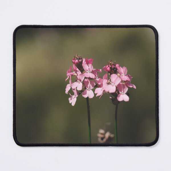 Artikelvorschau, Australische Stylidium Triggerplant Blume Makrofoto entworfen und verkauft von hendrikspix.