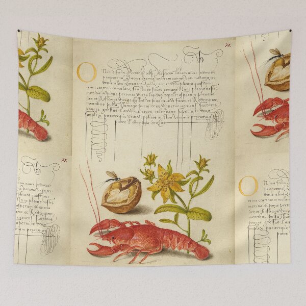 Item preview, Naturalist Manuscript: Flower, Crayfish, and Calligraphy Illumination by Joris Hoefnagel designed and sold by Naturalist Prints.