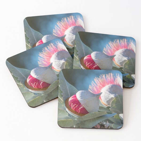Item preview, Pink Popping Macrocarpa designed and sold by SallyB.Photography.