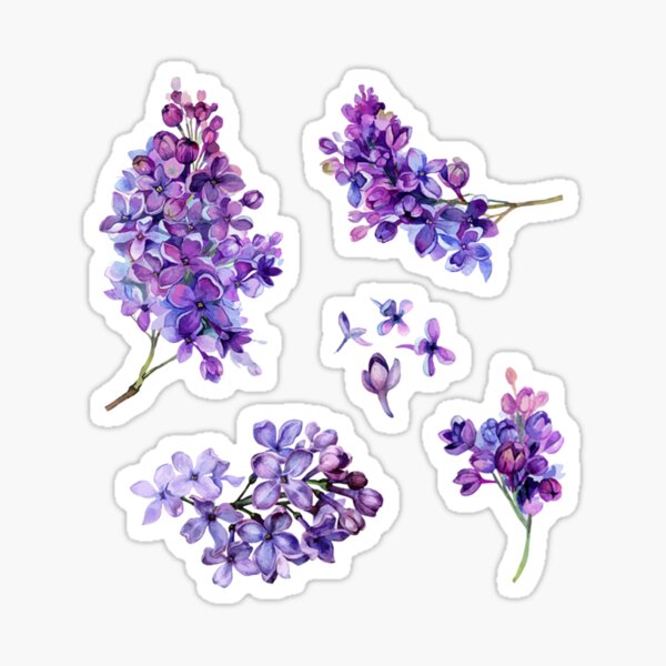 Purple Flowers Pack Bundle